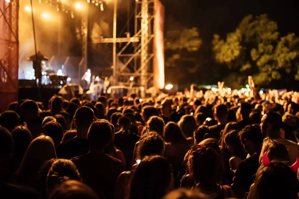 İnsanlar gece konserde
