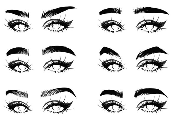 Beautiful woman brows makeup vector illustration for cosmetics sale advertising design. Fashion woman with cat eyes drawing isolated vector.  SET with woman's eyes, eyelashes and eyebrows hand-drawn vector illustration. Vector Beautiful woman brows