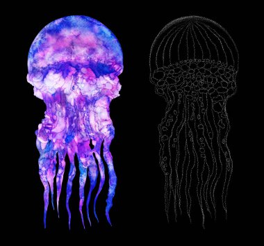 Suluboya denizanası modern parlak neon renklerinde ve grafik vuruşlarda izole edilmiş siyah arkaplan üzerinde canlı sualtı illüstrasyonu tasarım element stili, mor mor mor mor menekşe parlak pembe sıvı renkli