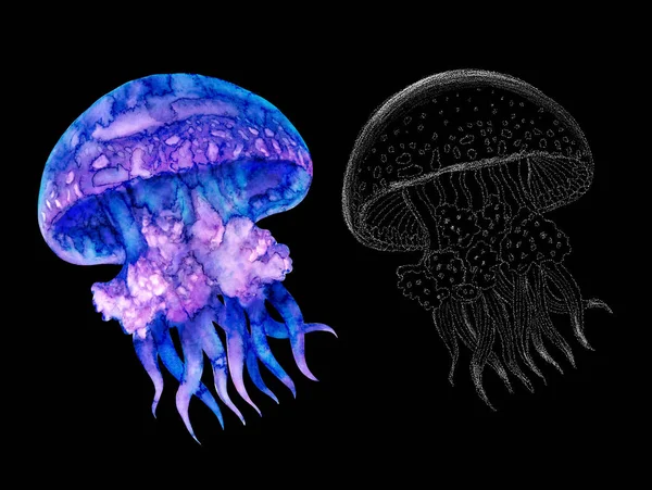 Medusas de acuarela ambientadas en modernos colores brillantes de neón y en trazo gráfico aislado sobre fondo negro Ilustración submarina vívida Estilo de elemento de diseño, púrpura azul violeta brillo rosa fluido colorido — Foto de Stock