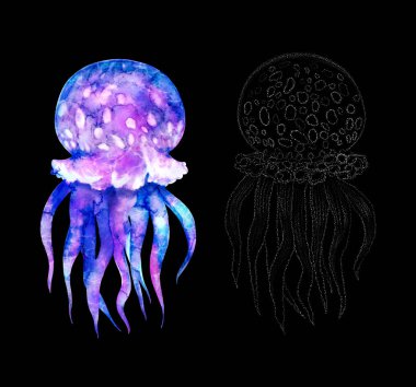 Suluboya denizanası modern parlak neon renklerinde ve grafik vuruşlarda izole edilmiş siyah arkaplan üzerinde canlı sualtı illüstrasyonu tasarım element stili, mor mor mor mor menekşe parlak pembe sıvı renkli