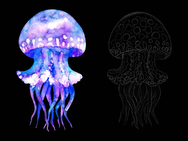 Watercolor jellyfish set in modern bright neon colors and in graphic stroke isolated on black background Vivid underwater illustration Design element style, purple blue violet glow pink fluid colorful — 스톡 사진