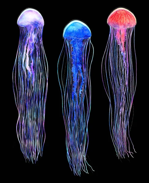 Las medusas fijan la acuarela en colores brillantes modernos del neón aislados en el fondo negro. Ilustración futurista vívida en gran tamaño. Elemento de diseño en estilo mágico, púrpura, azul, brillo, fluido, colorido — Foto de Stock