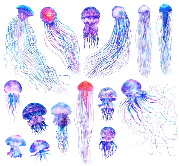 白を基調とした現代的な明るい色で設定された水彩クラゲ大規模なサイズで水中鮮やかなイラスト魔法のスタイルでデザイン要素 紫青紫色の輝きピンク色 — ストック写真