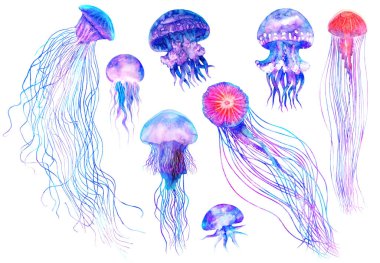Modern parlak renklerde suluboya denizanası seti beyaz arka planda izole edilmiş su altı canlı illüstrasyon büyük boyutlu tasarım elementi sihirli stil, mor mor mor mor mor parlak pembe renk