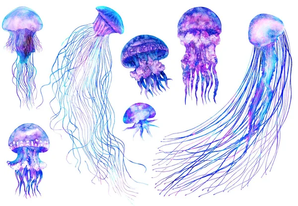Watercolor Jellyfish Set Modern Bright Colors Isolated White Background Underwater — Stock Photo, Image
