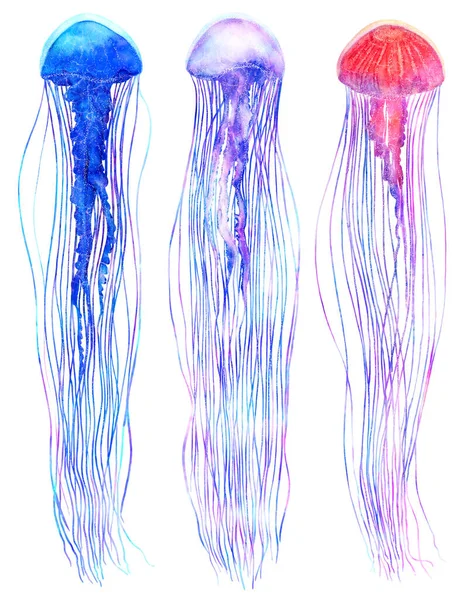 Watercolor Jellyfish Set Bright Neon Colors Isolated Black Background Futuristic — Stock Photo, Image