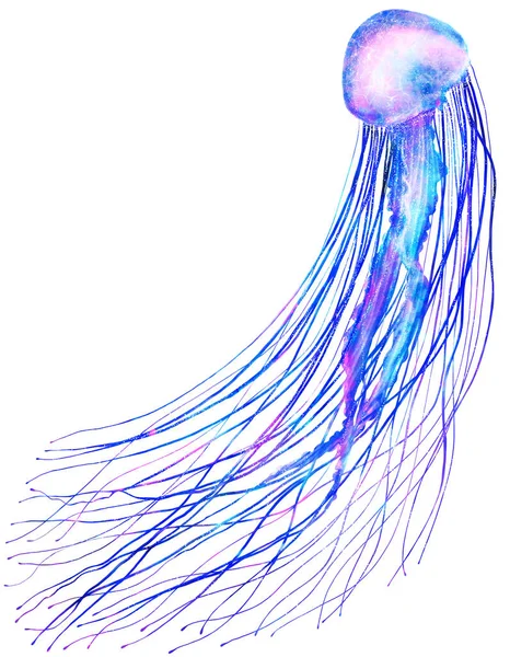 Modern parlak neon renklerinde suluboya denizanası siyah arka planda izole edilmiş fütüristik gerçekçi illüstrasyon büyük boyutlu tasarım elementi sihirli stil, mor mor menekşe parlak pembe sıvı renk