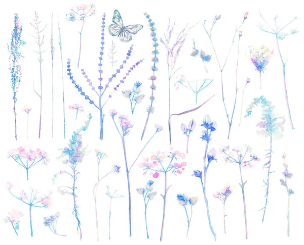 Kollektion Floraler Designelemente Mit Blättern Und Blumen Schmetterling Für Grußkarten — Stockfoto