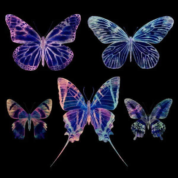 黒の背景に隔離された水彩蝶 大きな明るいセット 抽象カラフルなイラストアートコレクション — ストック写真