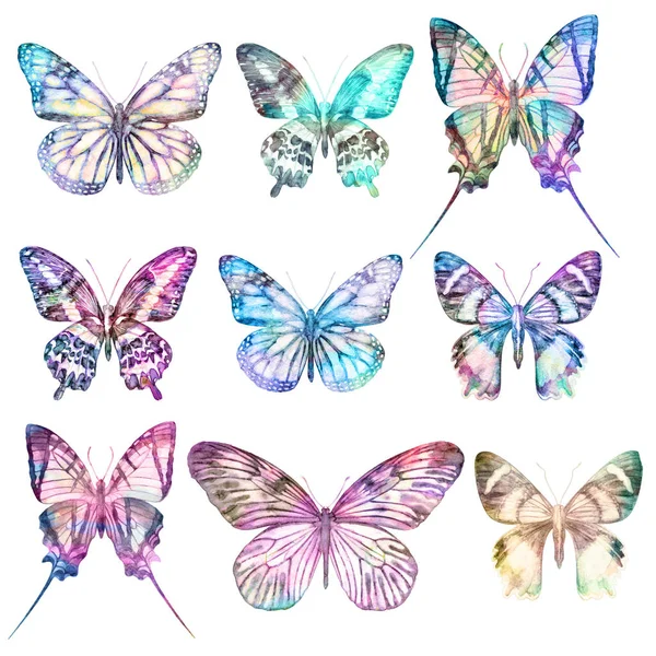 白い背景に隔離された水彩蝶 大きな明るいセット 抽象カラフルなイラスト集 — ストック写真