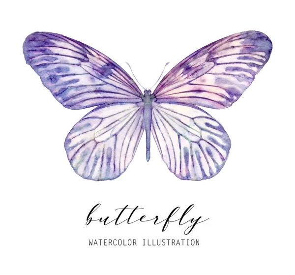 Papillon Aquarelle Isolé Sur Fond Blanc Illustration Abstraite Colorée — Photo