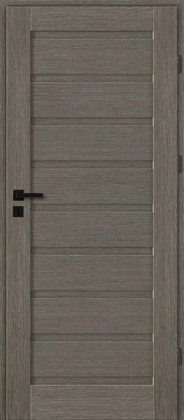 Interior Doors Wooden Full Painted Gray Oak — Stock Photo, Image