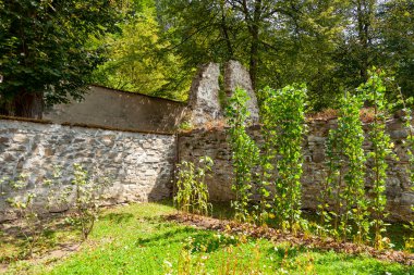 Kızıl Manastır - Slovakya 'da Dunajec' teki Kızıl Manastır köyünde bulunan manastır kompleksi