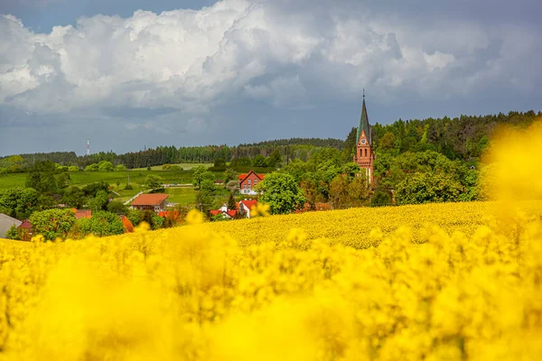 Gietrzwad - Polonya 'nın Warmia ve Mazury kentlerinde bir köy - bahar manzarası, çiçek açan kolza tohumu. Gietrzwad 'daki Kutsal Bakire Meryem' in Doğumu Bazilikası.