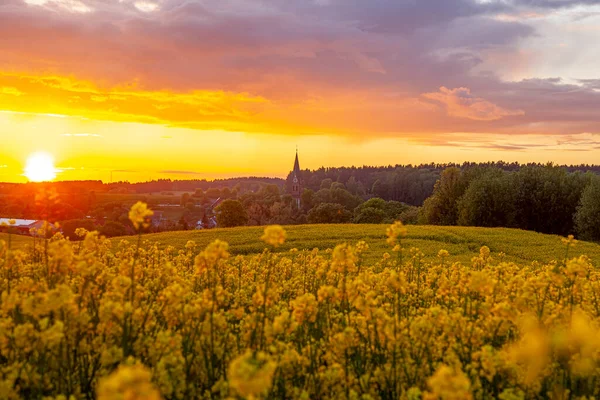Gietrzwald - Polonya 'nın Warmia ve Mazury bölgesinde bir köy - bahar manzarası, çiçek açan kolza tohumu. Gietrzwad 'daki Kutsal Bakire Meryem' in Doğumu Bazilikası.