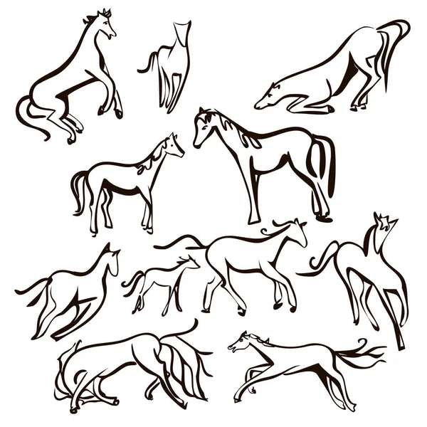 Grupo vectorial de mascotas - Caballo aislado sobre fondo blanco., — Vector de stock