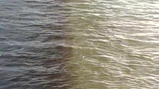Taruh bayangan di atas air yang mengalir — Stok Video