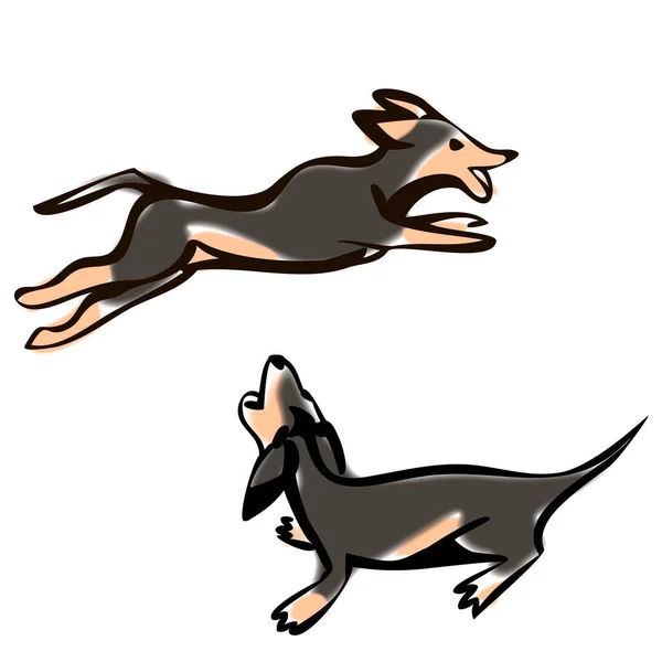 Cartoon Vector Illustration of Cute Purebred Dachshund Dog Ізольовані на білому тлі — стоковий вектор