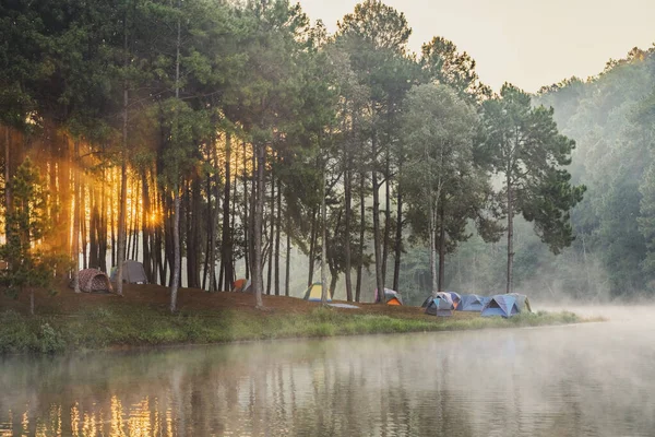 Tenda Turistica Nella Foresta Con Lago Permettere Turisti Avvicinarsi Alla — Foto Stock