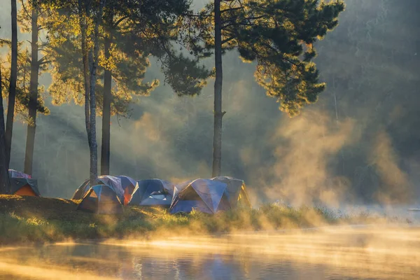 Tourist tent in the forest with the lake to allow tourists to get close to nature. Morning light by the lake.