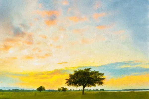 Akvarel Osamělý Strom Louce Západem Slunce Krásný Západ Slunce Stromem — Stock fotografie
