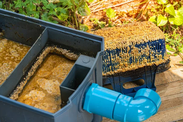 Filtre De Déchets De Cuisine Piégé Dans Le Drainage Photo stock