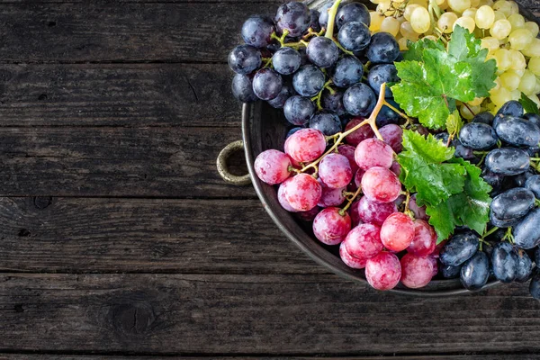 Kırmızı şarap şişede ve bardakta aperatif, şarap konsepti peynir tahtası, incir ve üzüm.. 