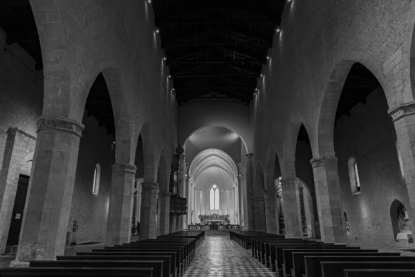 Aquila Abruzzo Basiliek Van Santa Maria Collemaggio Een Religieus Symbool — Stockfoto