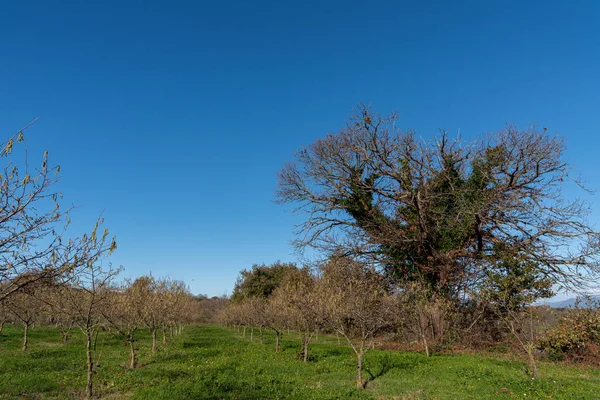 Kampanien Italien Wunderbarer Blick Auf Eine Der Schönsten Stätten Süditaliens — Stockfoto