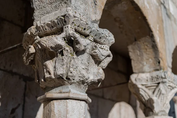 Isernia Molise Den Broderliga Fontänen Elegant Offentlig Fontän Samt Symbol — Stockfoto