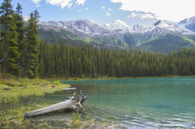Ruh Adası, Maligne Gölü, Alberta, Kanada