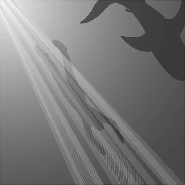 Silhouettes Plongeur Requin Illustration Vectorielle — Image vectorielle