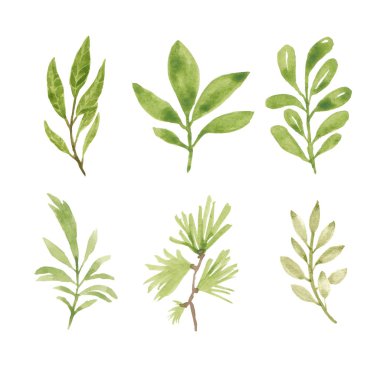 Suluboya el boyası yeşillik elementi