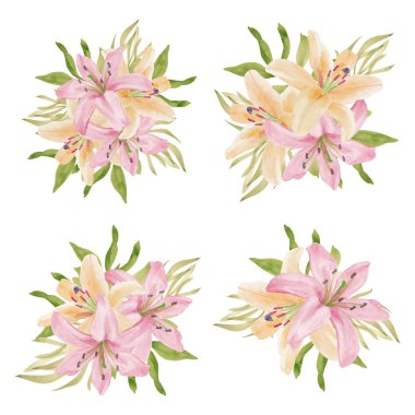 Suluboya zambak tropikal çiçek buketi koleksiyonu