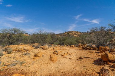 Avustralya kırsalında bazı kuru çalılar ve otlar orada duruyor.