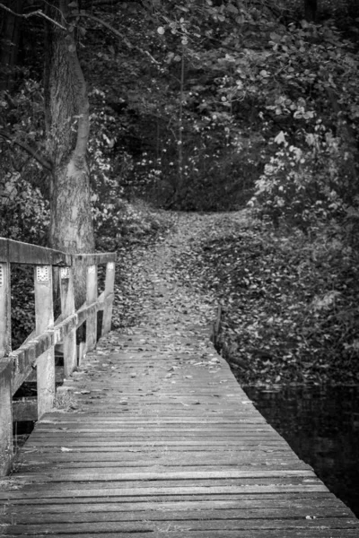 A wooden footbridge at Lake Ratzeburg in autumn early in the mor — Stock Photo, Image