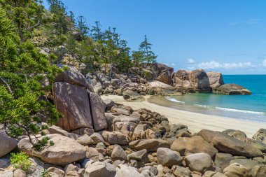 Manyetik Ada 'nın mavi sularıyla paradisiacal plajı.