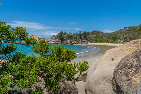 A praia paradisíaca com água azul da Ilha Magnética no — Fotografia de Stock