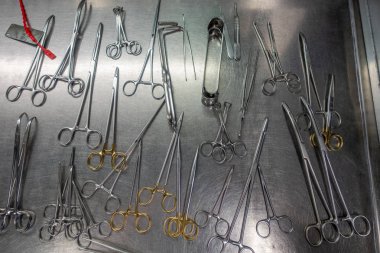 Metal bir masanın üzerinde perfor için çeşitli yıkanmış enstrümanlar var.