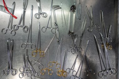 Metal bir masanın üzerinde perfor için çeşitli yıkanmış enstrümanlar var.