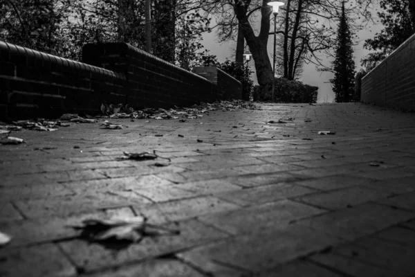 Egy fekete-fehér fénykép egy magányos ösvényről a sötétben. — Stock Fotó