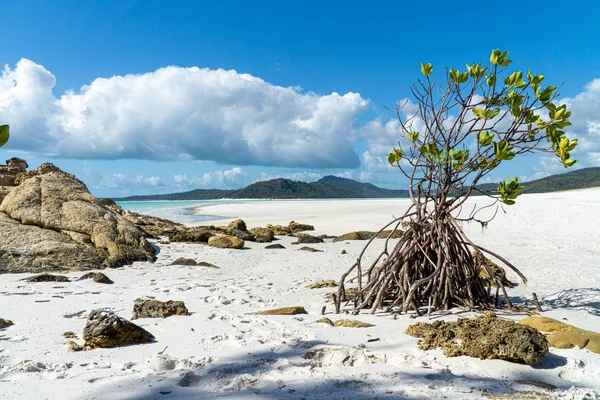 Avustralya 'daki WhitSunday Adaları' nın beyaz plajı. — Stok fotoğraf