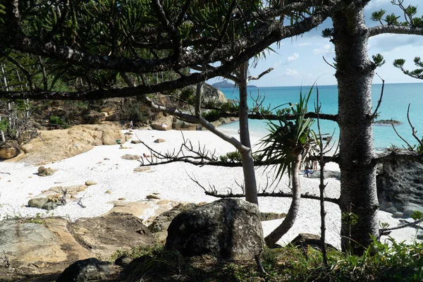 A praia branca das Ilhas Whitsunday na Austrália, que co — Fotografia de Stock