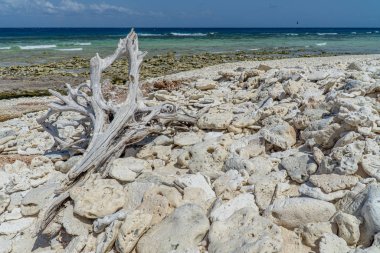 Lady Elliot Adası kıyıları Great Barrier Resifi, Avustralya