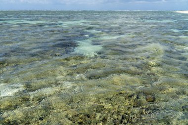 Lady Elliot Adası kıyıları Great Barrier Resifi, Avustralya