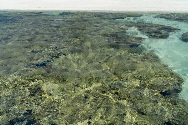 Lady elliot island shore great barriere riff, australien — Stockfoto