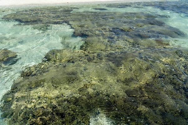 Lady Elliot Adası kıyıları Great Barrier Resifi, Avustralya — Stok fotoğraf