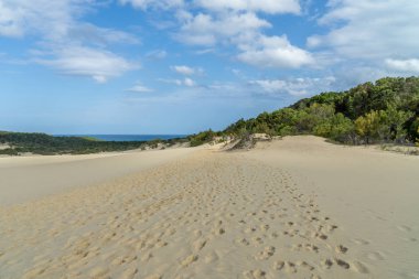 Austral 'daki Fraser Adası' nda deniz kenarındaki parlak çöl sahili.