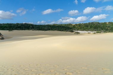 Austral 'daki Fraser Adası' nda deniz kenarındaki parlak çöl sahili.
